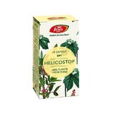 Helicostop D91, 63 gélules, Tarifs