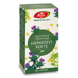 Hepatofit Forte D80, 30 capsules, Fares