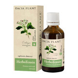 HerboTensin Tinctuur (Spanningsregulator), 50 ml, Dacia Plant