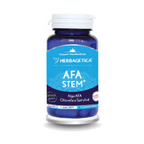 Afa Stam, 60 capsules, Herbagetica