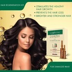 Hair Regeneration Kit Gerovital Expert Treatment, 10 vials x 10 ml, 10 vials x 5 ml , Farmec