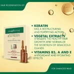 Hair Regeneration Kit Gerovital Expert Treatment, 10 vials x 10 ml, 10 vials x 5 ml , Farmec