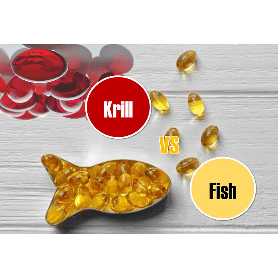 Korill pure krill olie 500 mg, 30 capsules, Sanience