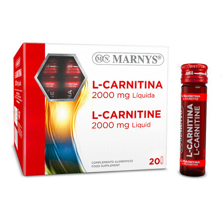 L-Carnitine liquide 2000 mg, 20 flacons, Marnys