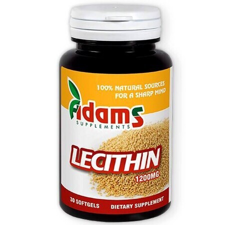 Lecithine 1200 mg, 30 capsules, Adams Vision