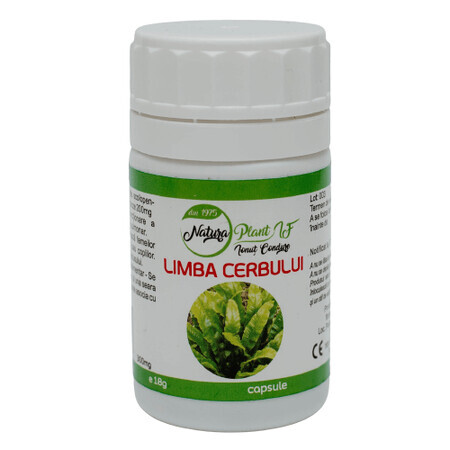 Langue de cerf 300 mg, 60 gélules, Natura Plant