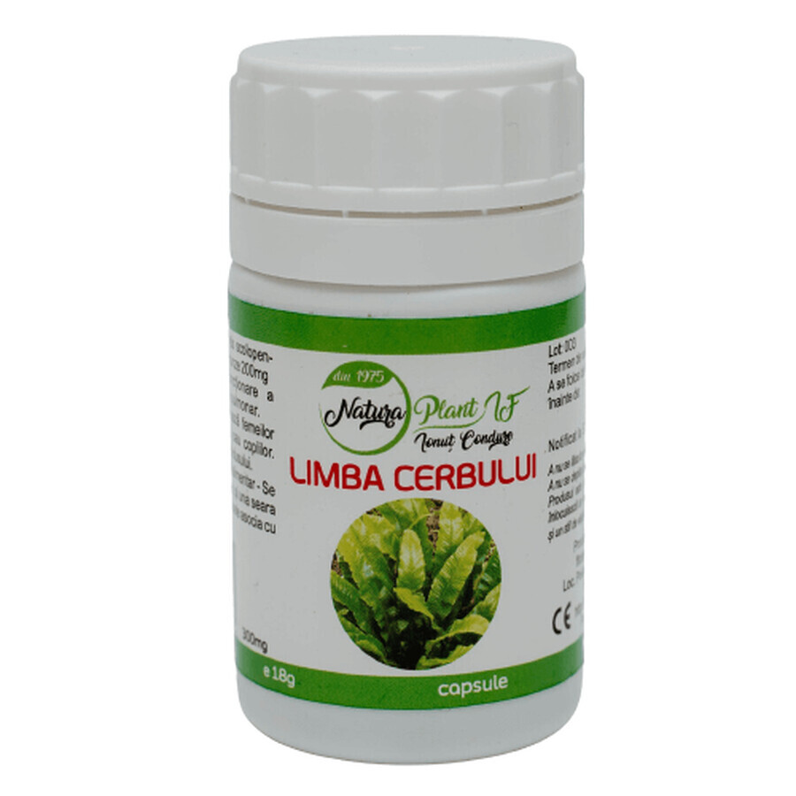 Langue de cerf 300 mg, 60 gélules, Natura Plant