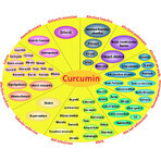 Lipozomal Curcumin 95%, 60 capsule vegetale, Hypernatura