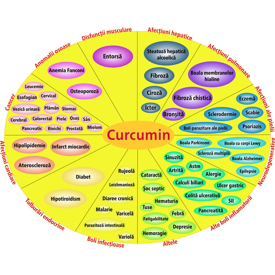 Lipozomal Curcumine 95%, 60 gélules végétales, Hypernatura