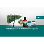 Liv 52, 100 compresse, Himalaya