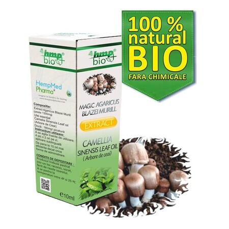 Magisch Agaricus Blazei Murill Tea Tree Extract, olie, 10 ml, HempMed Pharma