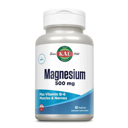 Magnesium 500mg Kal, 60 capsules, Secom