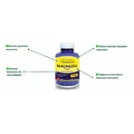 Biologisch Magnesium met Vitamine B-complex, 120 capsules, Herbagetica