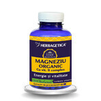 Biologisch Magnesium met Vitamine B-complex, 120 capsules, Herbagetica