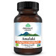 Amalaki Vitamine C en Natuurlijke Antioxidanten, 60 capsules, Biologisch India