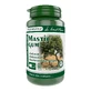Mastic Gum, 60 capsules, Pro Natura