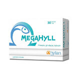 Megahyll, 30 capsules, Hyllan