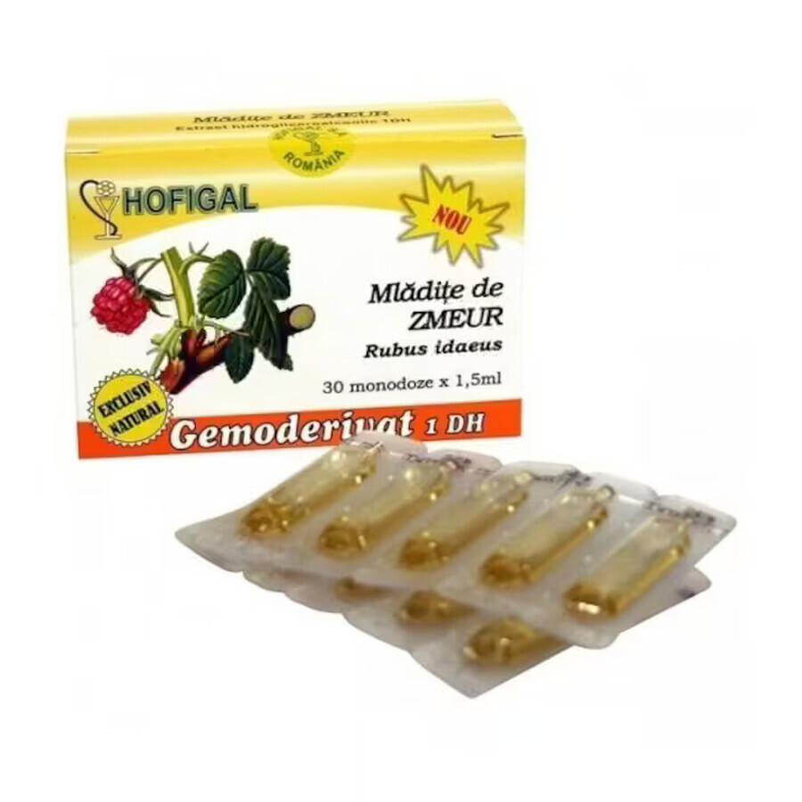 Zmeur Gemoderivat, 30 single doses, Hofigal