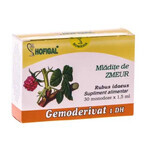 Zmeur Gemoderivat, 30 single doses, Hofigal