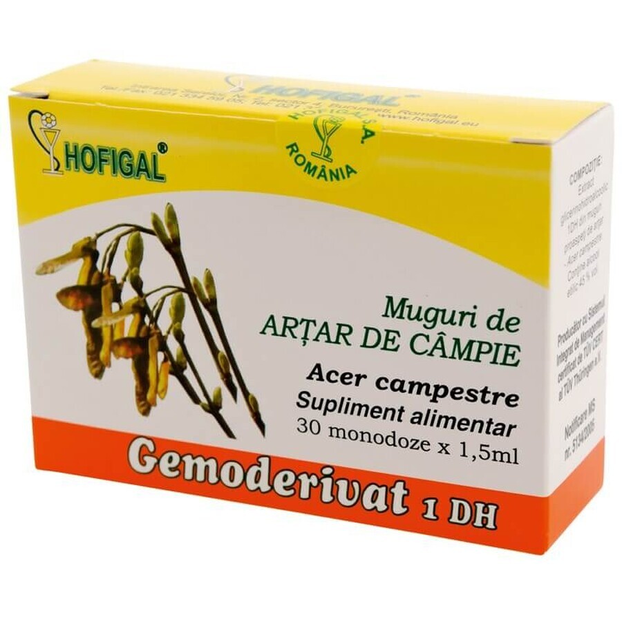 Bourgeons d'érable, 30 doses, Hofigal