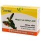 Bourgeons de sapin blanc Gemoderivat, 30 doses, Hofigal