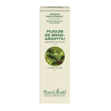 Boccioli di abete bianco, 15 ml, estratto vegetale