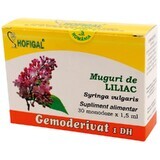Bourgeons de lilas, 30 doses uniques, Hofigal