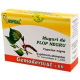 Bourgeons de peuplier noir, 30 unidoses, Hofigal