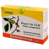 Ulm Bud Gemoderivat, 30 unidoses, Hofigal