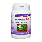 Naprasnic, 40 capsules, Favisan