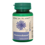 Normocolesterol, 60 capsules, Dacia Plant