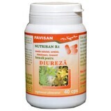 Nutrisan R1, 40 capsules, Favisan