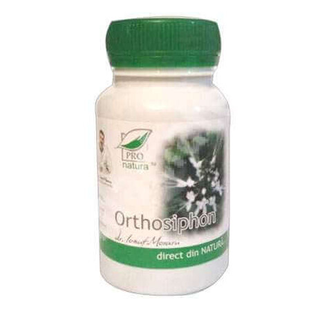 Orthosifon, 60 capsules, Pro Natura