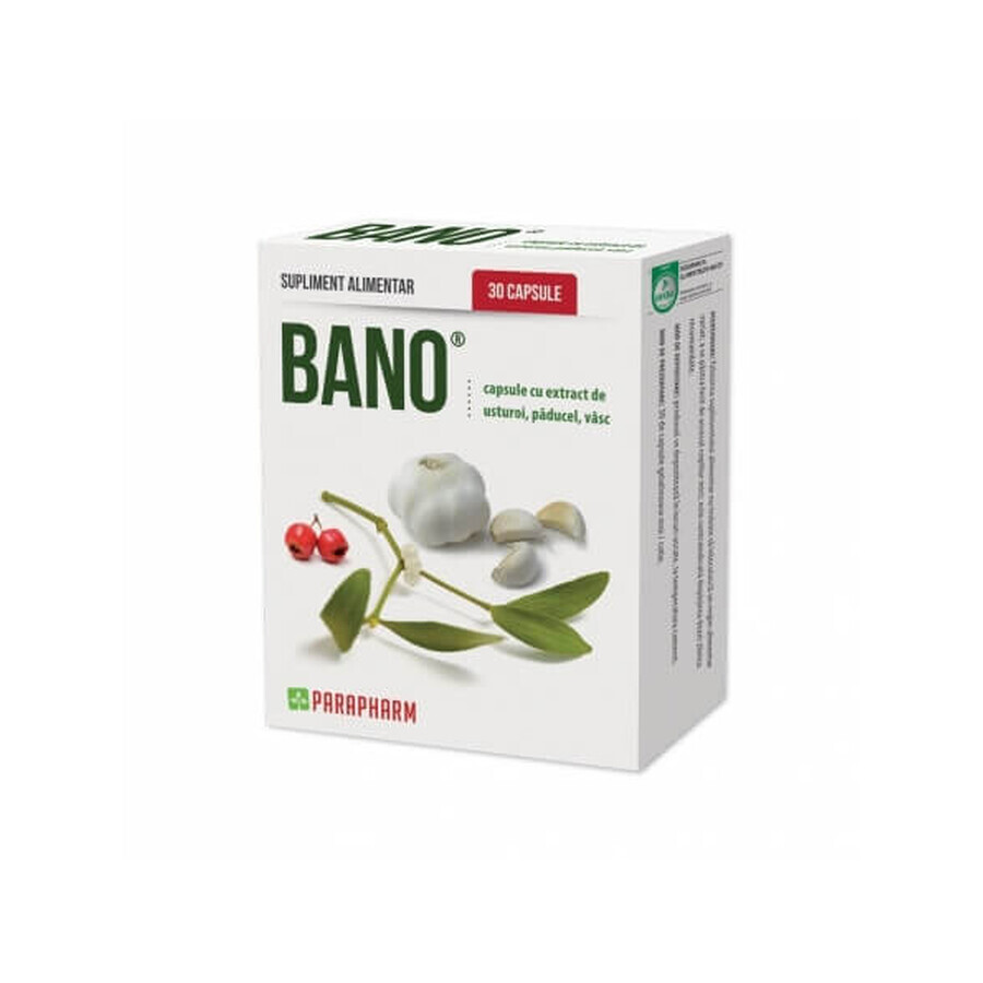 Bano pack avec extrait d'ail avec aubépine et gui, 30 gélules (2+1), Parapharm