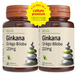 Pak Ginkana Ginkgo Biloba 120mg, 30 tabletten, Alevia (1+1)