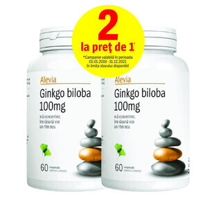 Pak Ginkgo Biloba 100 mg, 60 + 60 tabletten, Alevia