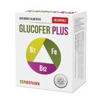 Verpakking Glucofer Plus, 30 + 30 capsules, Parapharm