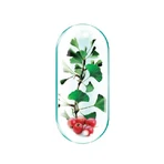 Lecithin 1200 mg Packung, 90 Kapseln + 30 Kapseln, Rotta Natura
