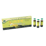 Panax ginsengextractum, 10 ampullen, Yongkang International China