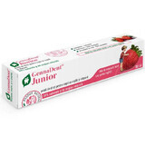 Dentifrice pour enfants à l'argile et à la fraise GennaDent Junior, 80 ml, Vivanatura