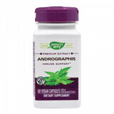 Andrographis SE Nature's Way, 60 gélules, Secom