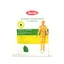 Anti-rheumatic patch with menthol, 12 x 18 cm, Narcissus