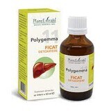 Polygemma 11 Lever Detox, 50 ml, Plantenextrakt