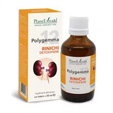 Polygemma 12, Désintoxication des reins, 50 ml, Extraits de plantes