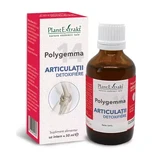 Polygemma 14, Detoxifying joints, 50 ml, Plant Extrakt