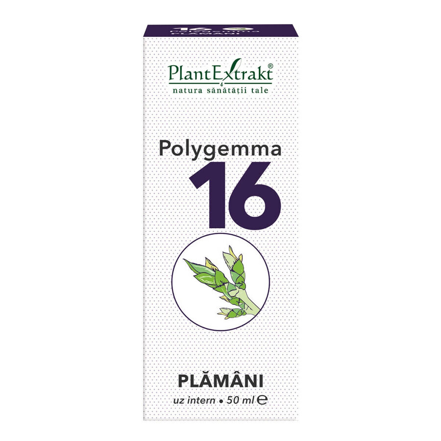 Polygemma 16, Lung, 50 ml, Plant Extrakt Évaluations