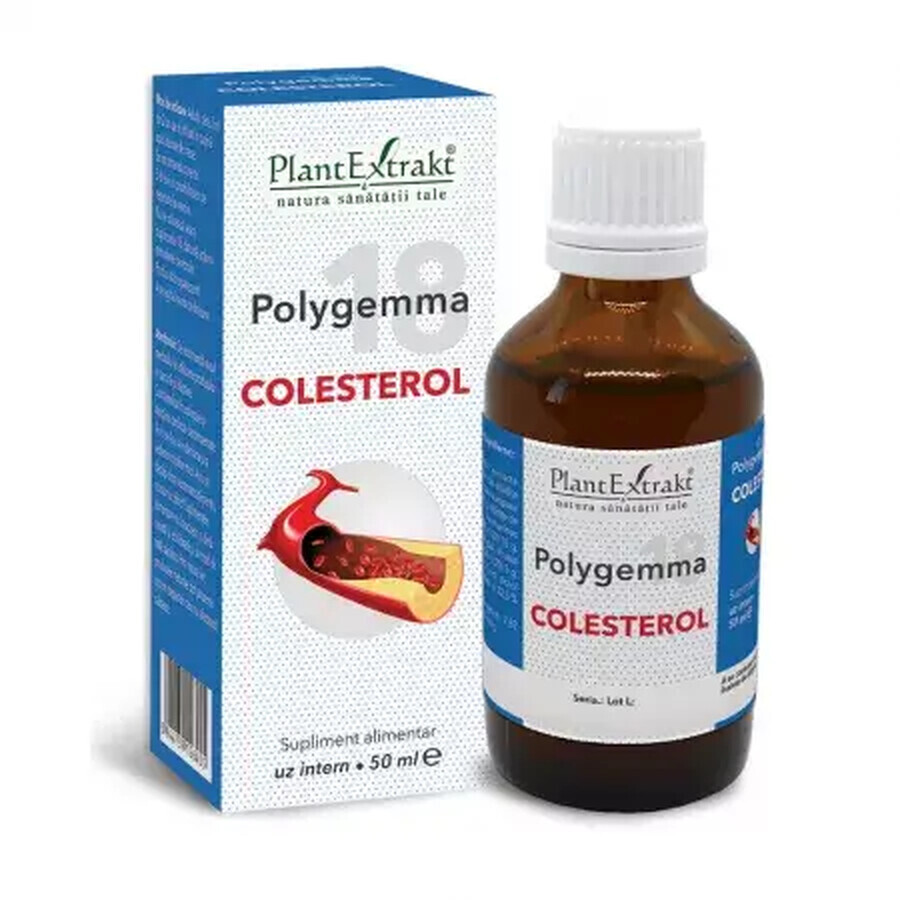 Polygemma 18, Cholestérol, 50 ml, Plant Extrakt Évaluations