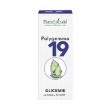 Polygemma 19 Glycemia, 50 ml, Plantenextrakt