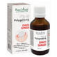 Polygemma 21 dinti, Gingii, 50 ml, Plant Extrakt