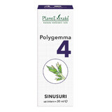 Polygemma 4, Sinus, 30 ml, Plant Extrakt